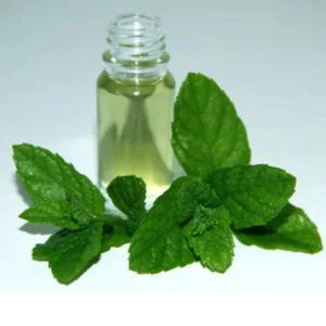 Mentha oil