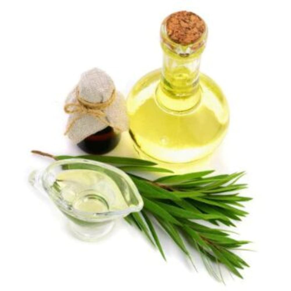 cajuput-oil-1709980934-7330511 (1)